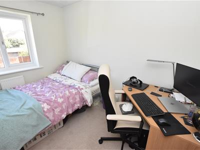 Picture 11